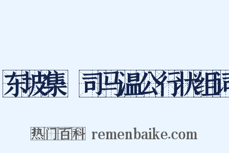 东坡集·司马温公行状组词是什么意思的图片